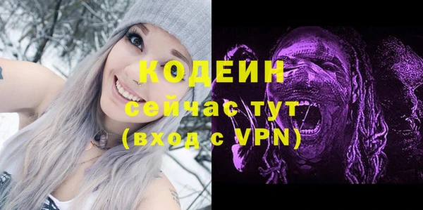 спиды Арсеньев