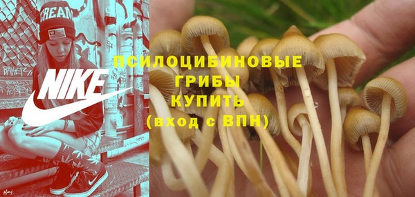 бошки Рославль