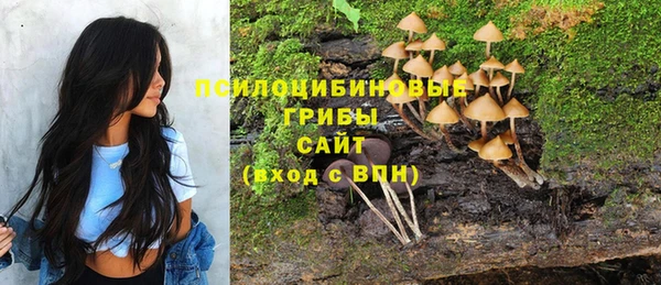 спиды Арсеньев