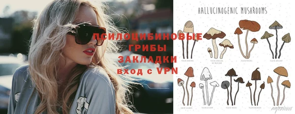 спиды Арсеньев