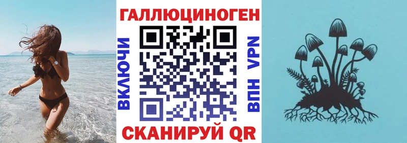 Галлюциногенные грибы Psilocybe  Нововоронеж 