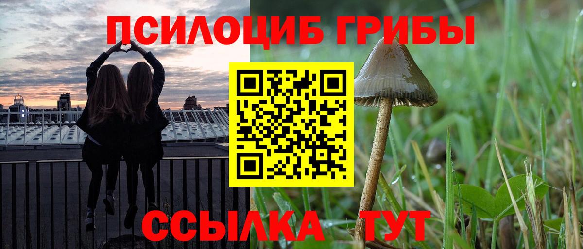 Псилоцибиновые грибы Magic Shrooms Нововоронеж