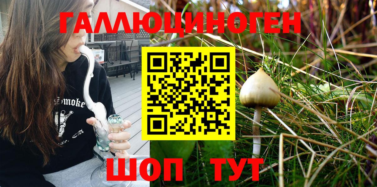 Нововоронеж  Псилоцибиновые грибы Psilocybe  Вход с VPN  Псилоцибиновые грибы MAGIC MUSHROOMS 